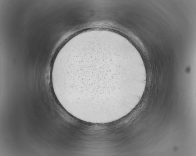 X0000116601224201001221251