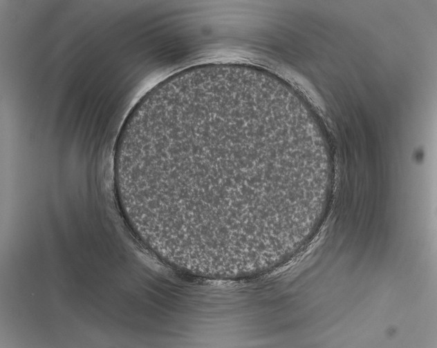 X0000116601226201001221251