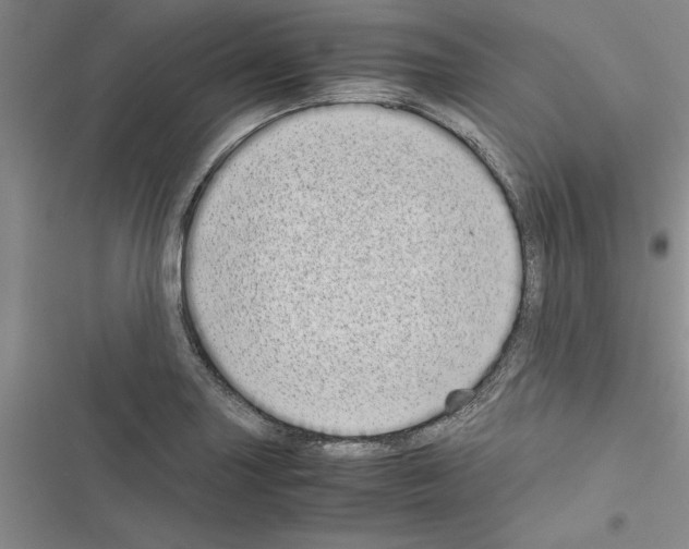 X0000116601227201001221251