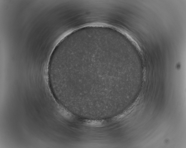 X0000116601229201001221251