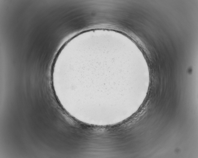 X0000116601230201001221251