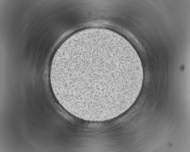 X0000116601232201001221251