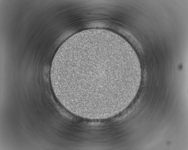 X0000116601233201001221251