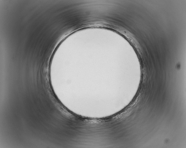 X0000116601234201001221251