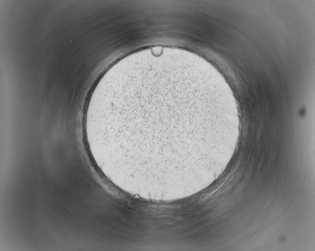 X0000116601237201001221251