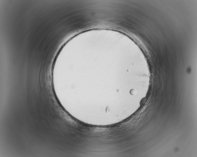 X0000116601238201001221251