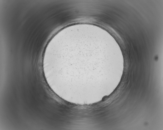 X0000116601240201001221251