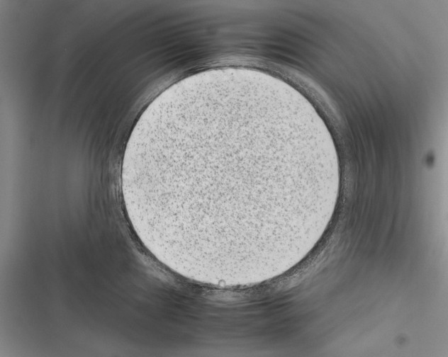 X0000116601241201001221251
