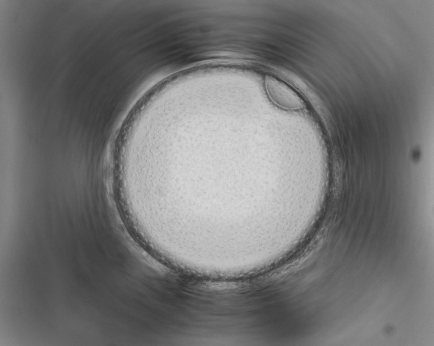 X0000116601243201001221251