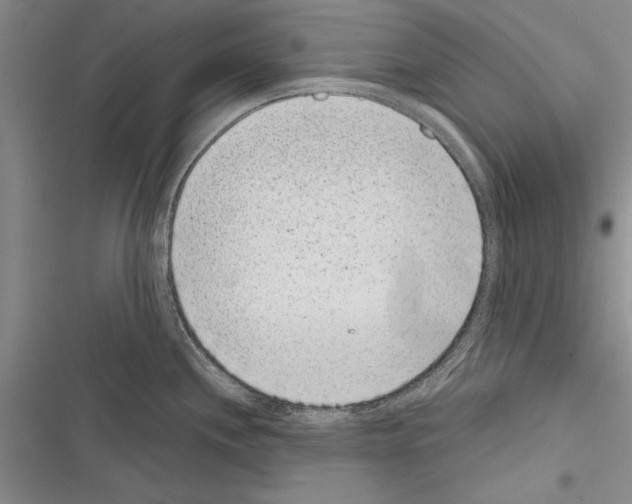 X0000116601244201001221251