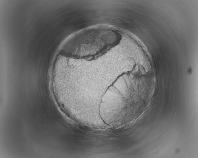 X0000116601245201001221251