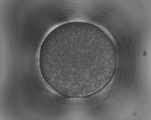 X0000116601246201001221251