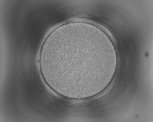 X0000116601247201001221251