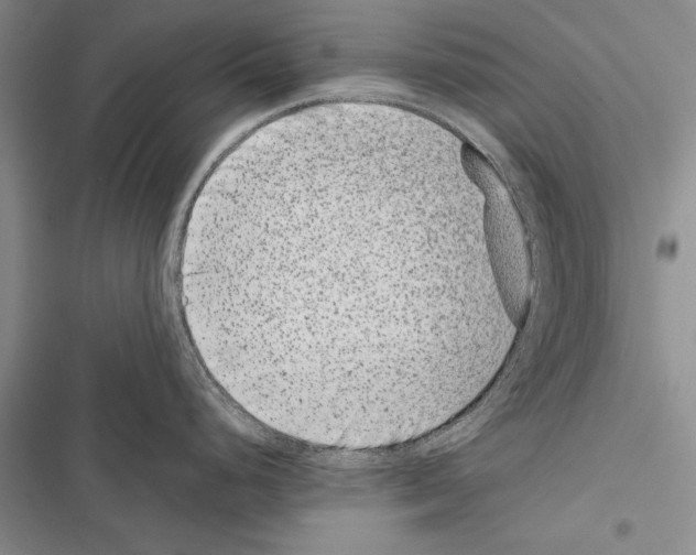 X0000116601248201001221251