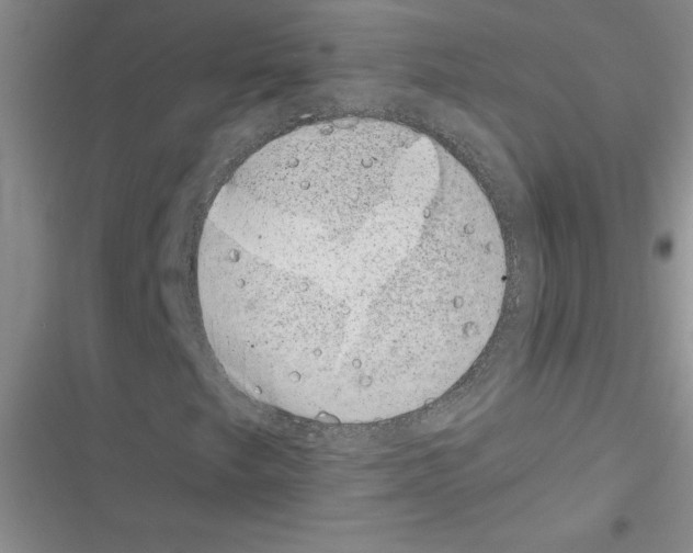 X0000116601249201001221250
