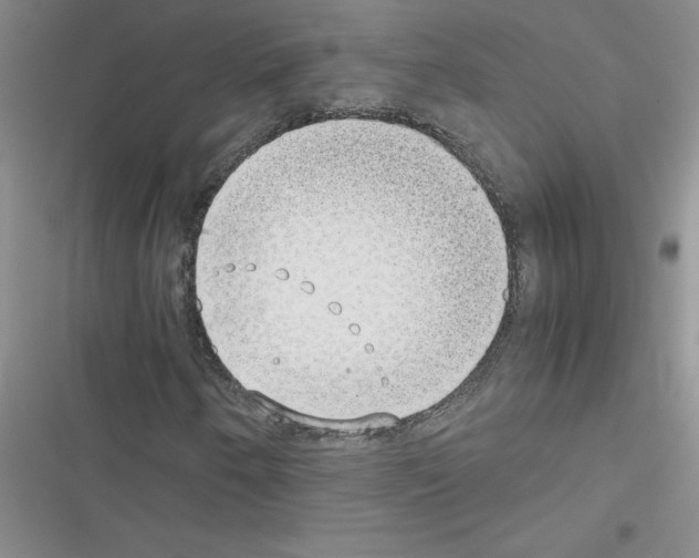 X0000116601250201001221250