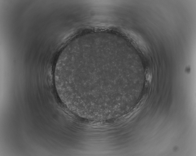 X0000116601252201001221250