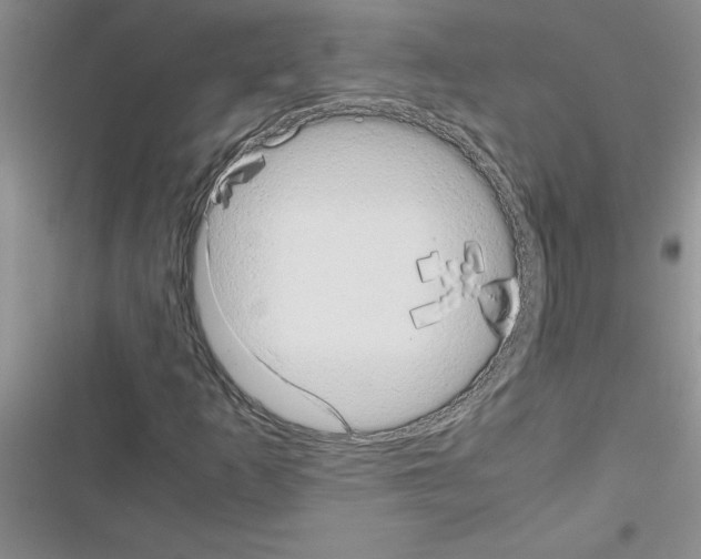 X0000116601253201001221250