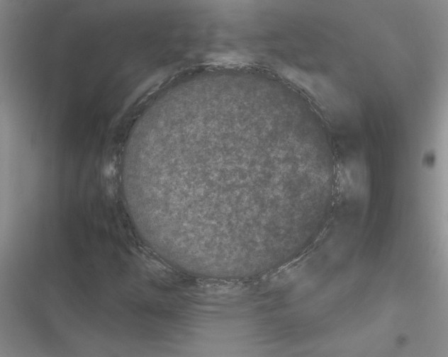 X0000116601254201001221250