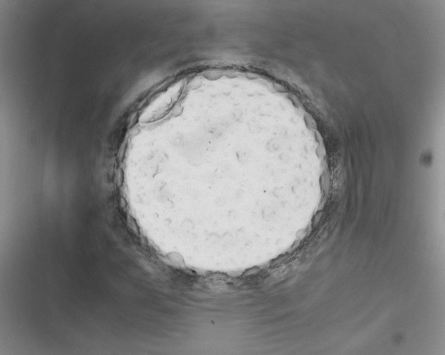 X0000116601255201001221250