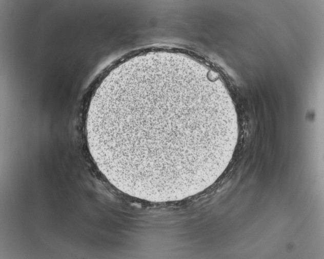 X0000116601256201001221250
