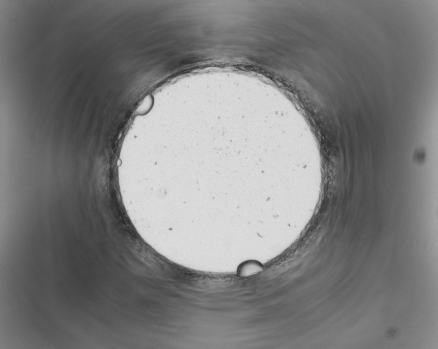 X0000116601257201001221250