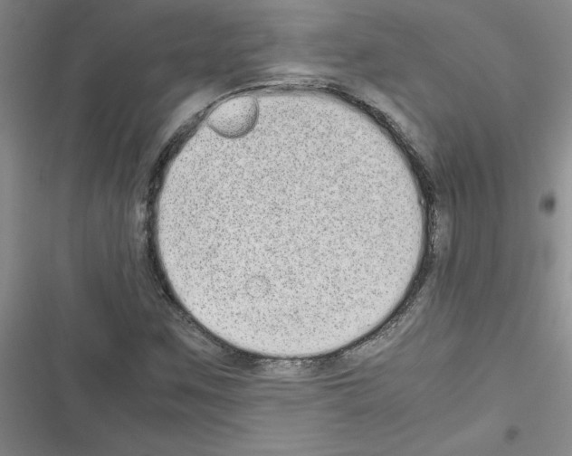 X0000116601259201001221250