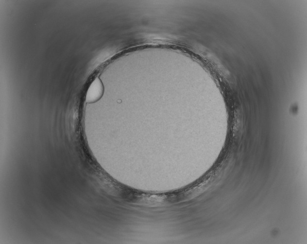 X0000116601261201001221250