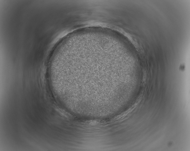 X0000116601263201001221250