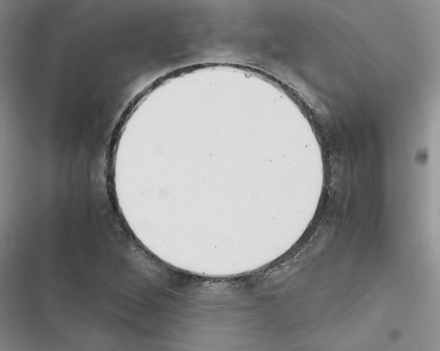 X0000116601264201001221250