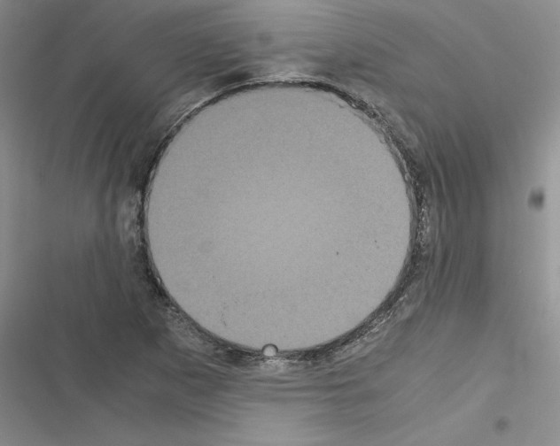 X0000116601265201001221250