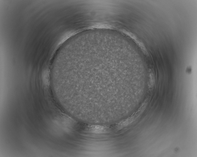 X0000116601266201001221250