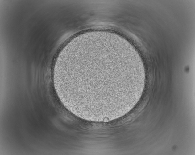X0000116601267201001221250