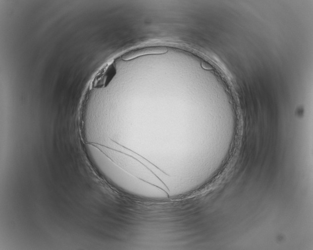 X0000116601268201001221250