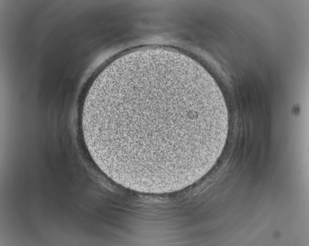 X0000116601270201001221250