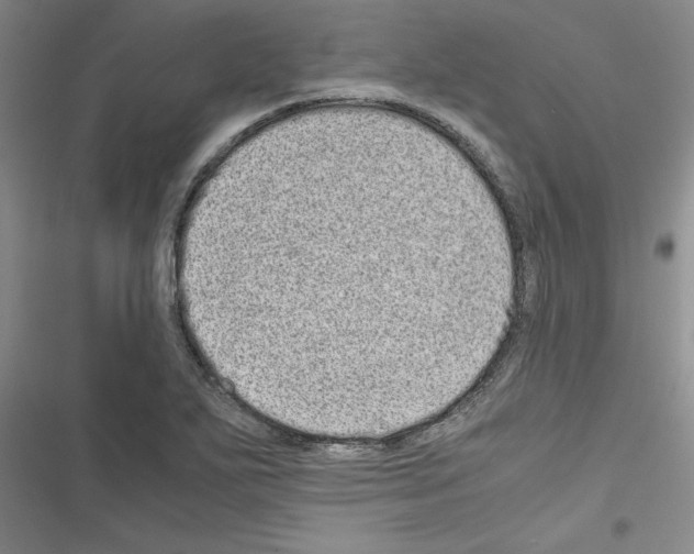 X0000116601271201001221250