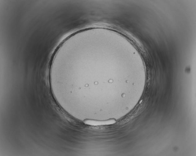 X0000116601272201001221250