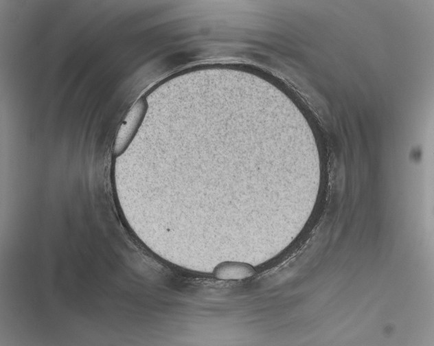 X0000116601273201001221250