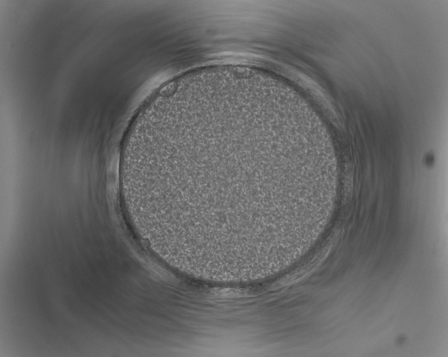 X0000116601275201001221250