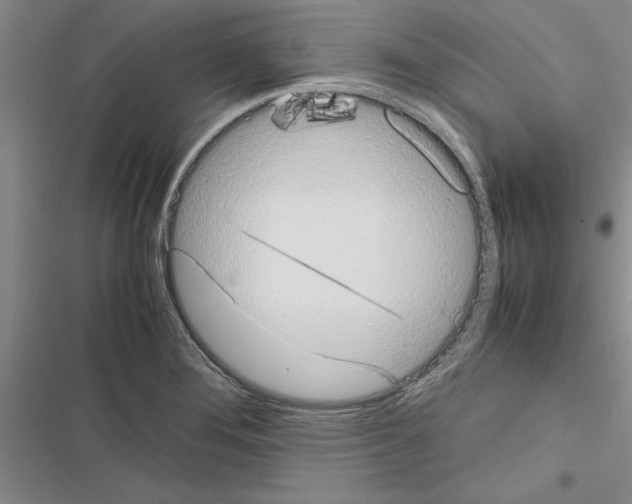 X0000116601276201001221250