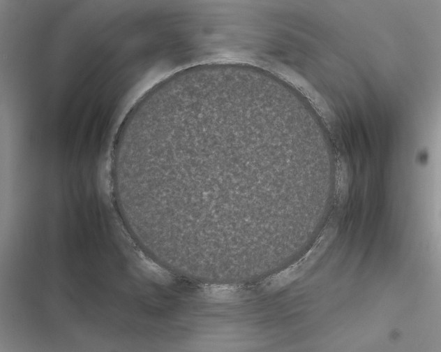 X0000116601278201001221250
