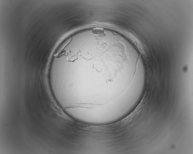 X0000116601280201001221250