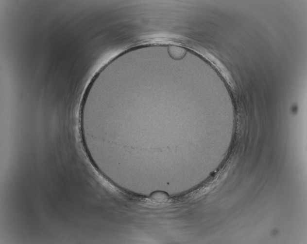 X0000116601285201001221250