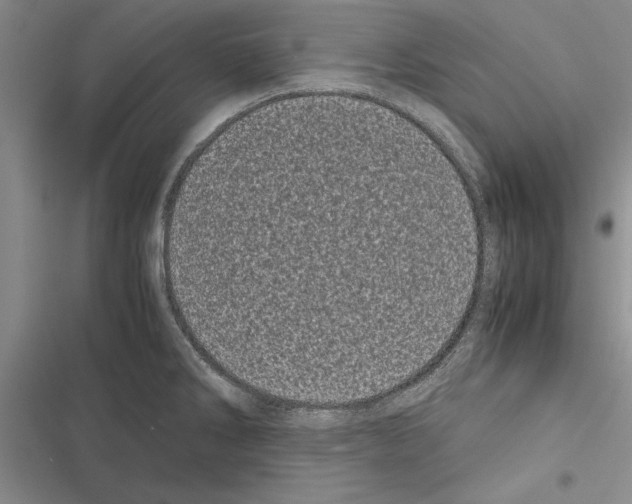 X0000116601286201001221250