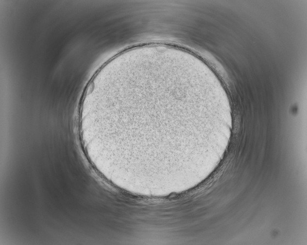 X0000116601287201001221250