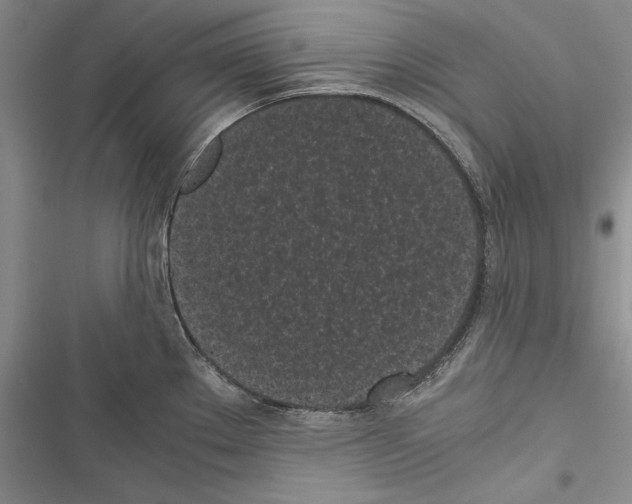 X0000116601289201001221250