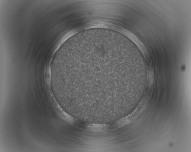 X0000116601290201001221250