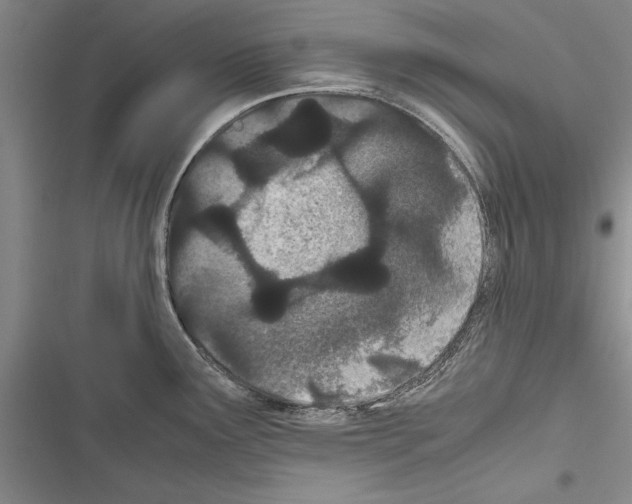 X0000116601291201001221250