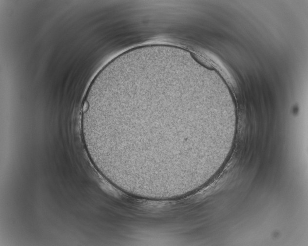 X0000116601292201001221250