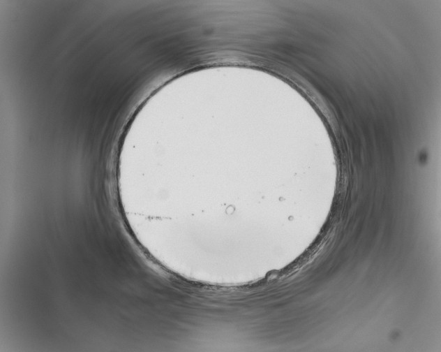 X0000116601293201001221250